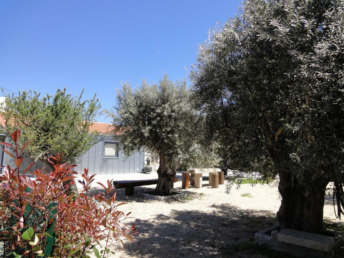 Pensjonat Casas Do Mondego Porto da Carne Zewnętrze zdjęcie
